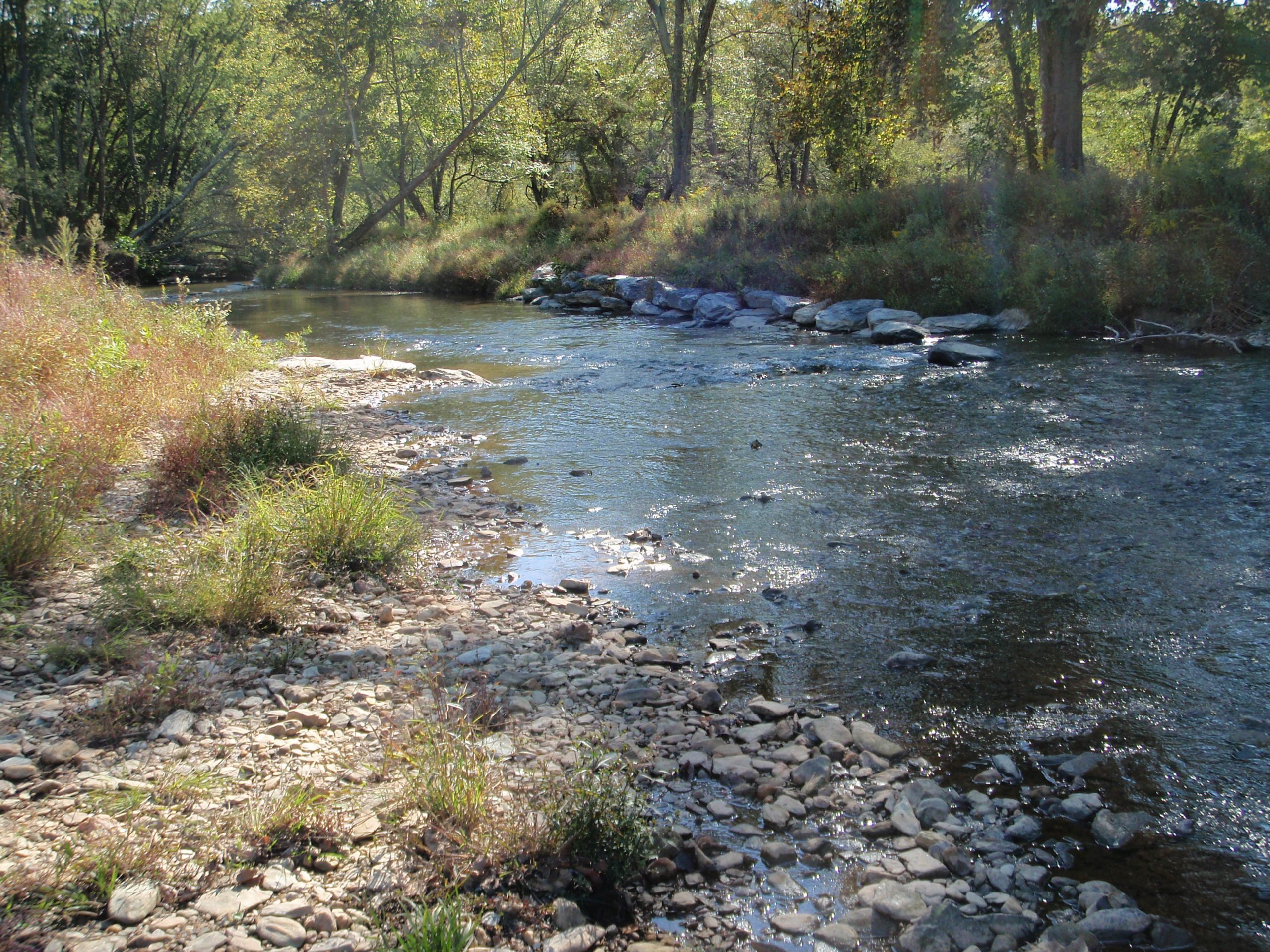 White Hall Dam Removal and Stream Restoration - Frederick, Seibert ...